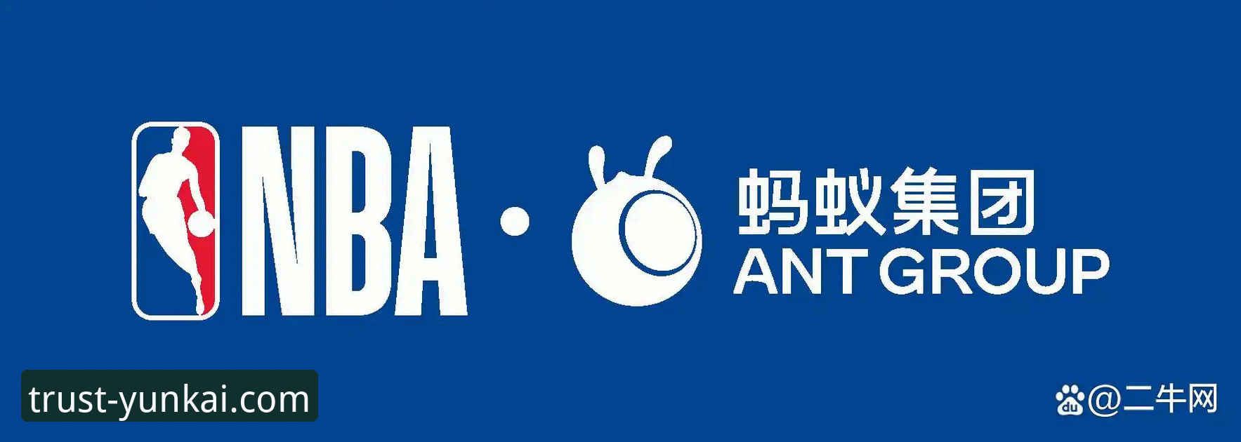 揭秘云开体育平台：数字时代体育娱乐的深层变革与用户真相